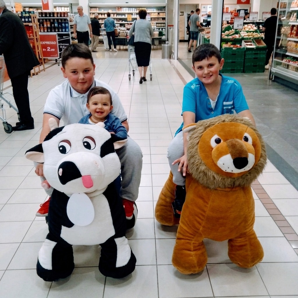 Enfants chevauchant la Vache et le Lion motorisés
