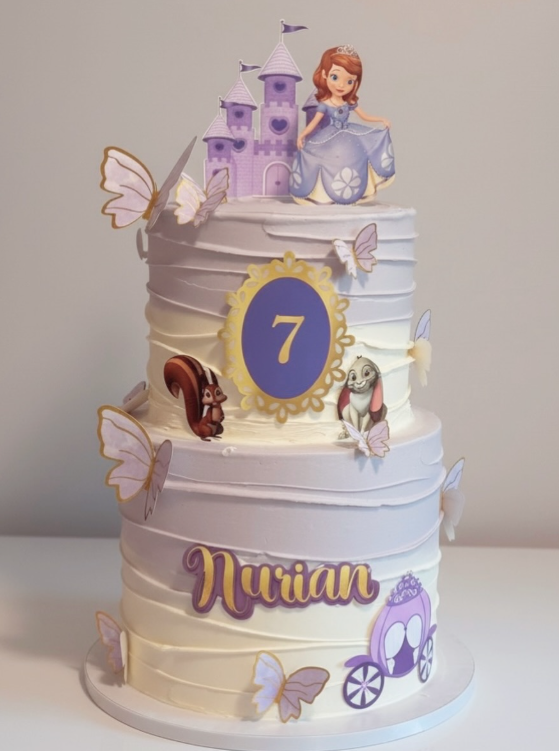 Gâteau Château Princesse Sofía Nurian 7 Ans